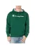 Худі Champion Powerblend Fleece Pullover Hoodie HBGF89H green